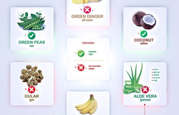 FRUITS-VEGS JAIN (FLASHCARD)