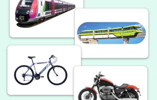 TRANSPORT FLASHCARDS B-0389