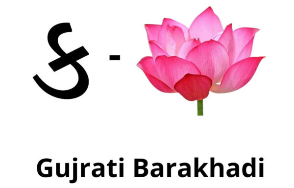 FLASHCARDS: GUJARATI BARAKHDI NO. B-1009