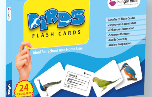 FLASHCARDS: BIRDS NO. B-1013