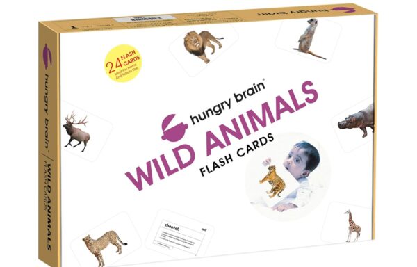 FLASHCARDS: WILD ANIMALS NO. B-1014