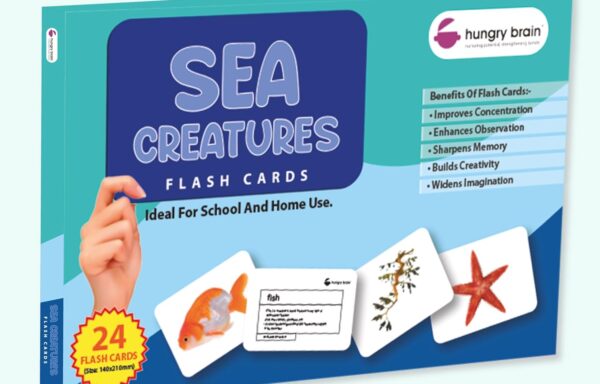 FLASHCARDS: SEA CREATURES NO. B-1017