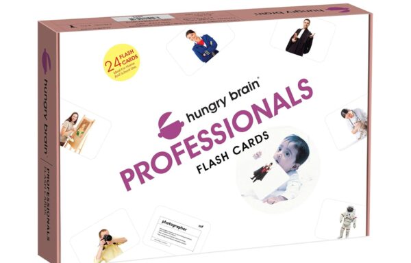 FLASHCARDS: PROFESSIONALS NO. B-1029