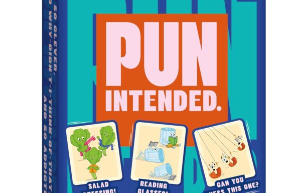 PUN INTENDED CARD GAME NO. 2088