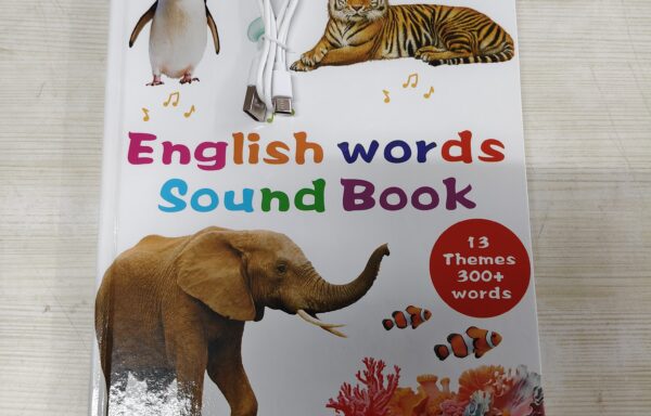 SOUND WORD BOOK 1 NO. 2245